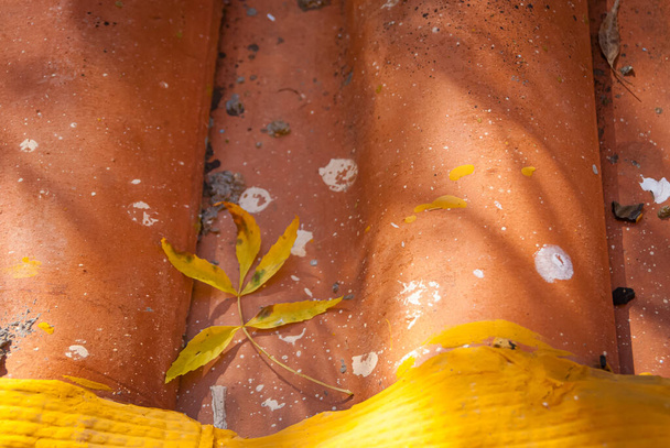 Lo sfondo del dettaglio di foglie di autunno su tegole di argilla - Foto, immagini