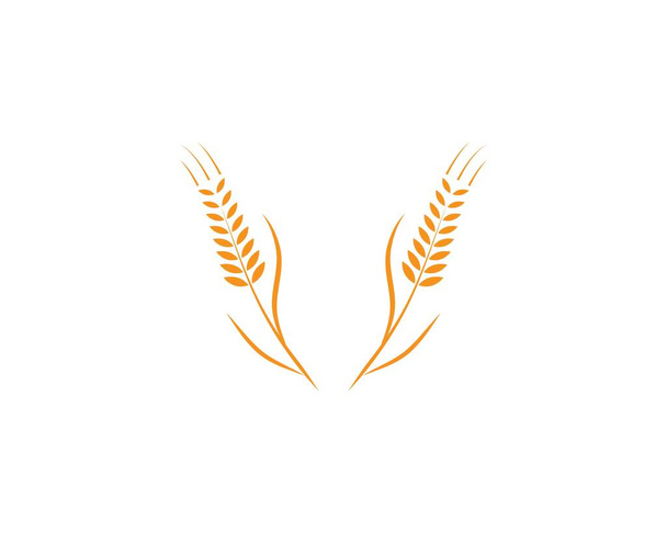 Дизайн векторной иконки логотипа пшеницы  - Вектор,изображение