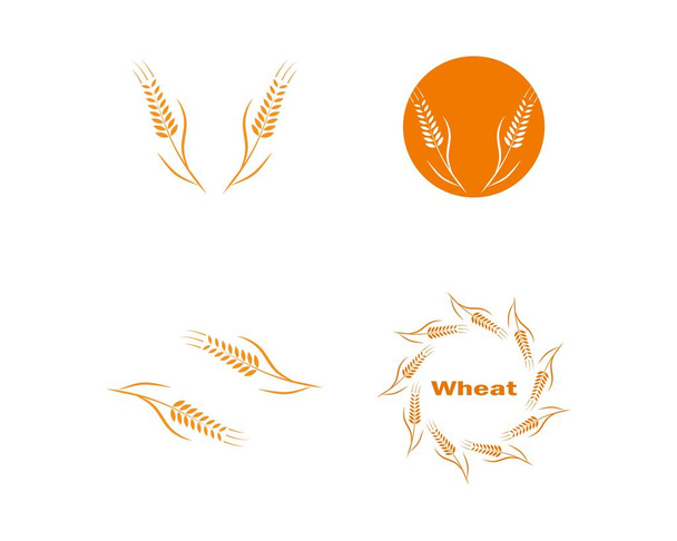 Weizen Logo Vorlage Vektor Icon Design  - Vektor, Bild
