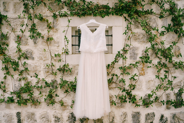 Un mur de pierre entrelacé de branches de jasmin torsadées avec une fenêtre et une robe de mariée au centre. - Photo, image