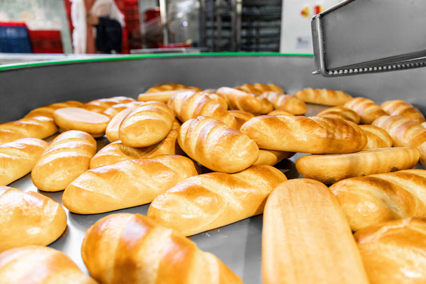 Línea de producción automática panadería Panes horneados de horno caliente - Foto, imagen