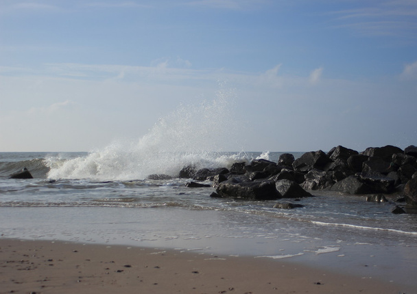 Plage à l'océan avec vagues cassantes et rochers noirs
 - Photo, image