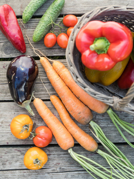 Freshly picked organic home-grown vegetables on a wooden background - Fotó, kép