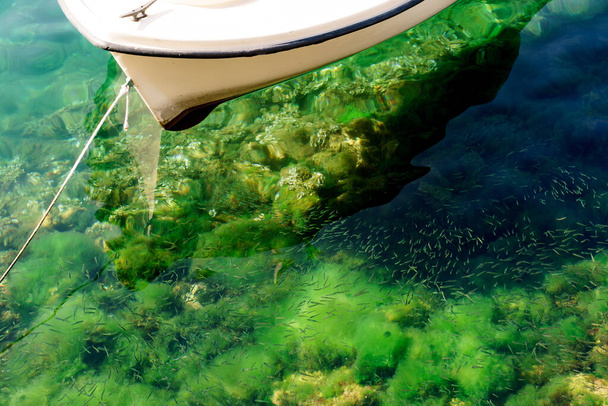Ένα σκάφος σε διάφανο νερό με πράσινη ανάπτυξη σε μια γραμμή zip με πολλά μικρά ψάρια. - Φωτογραφία, εικόνα