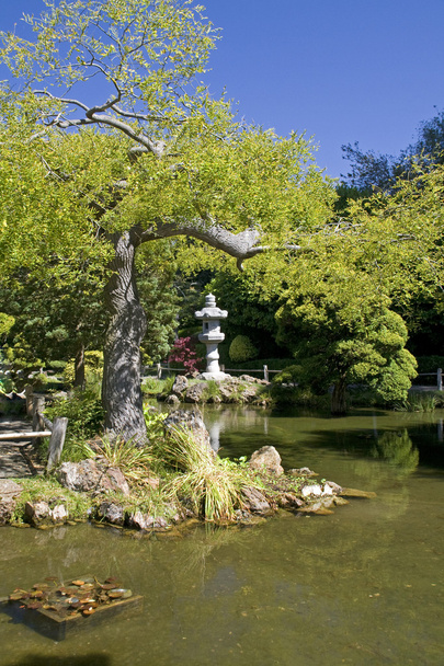 Japanese garden with pond - Photo, Image