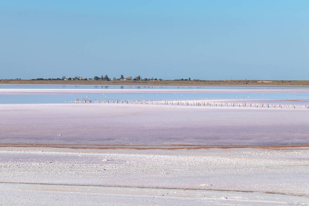 Slaný růžový povrch jezera pod modrou slunnou oblohou. Lázeňské zdravotní péče přírodní postupy na Ukrajině, Henichesk - Fotografie, Obrázek