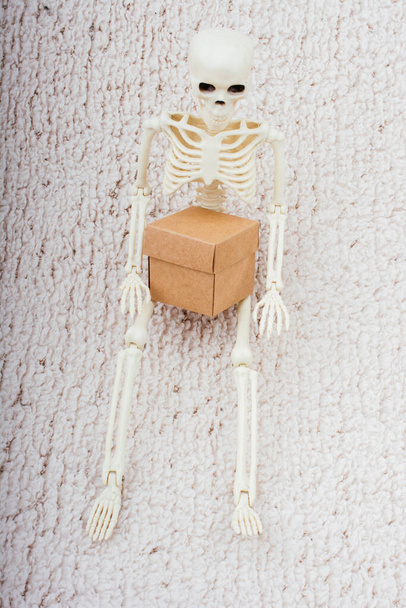 Modelo de esqueleto humano para ciencia de anatomía médica con caja de cartón - Foto, Imagen
