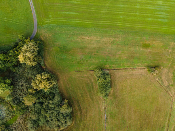 Drone shot of pasture near a lake. Copy space - Photo, Image