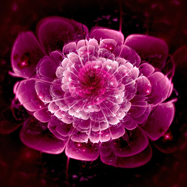 Тёмно-розовый фрактал
 - Фото, изображение
