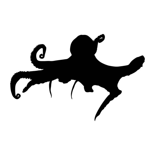 Krake (Octopus Vulgaris) schwimmt auf einer Silhouette von vorne, die in der Weltkarte des Ozeans gefunden wurde. Gut zu verwenden für Element Print Book, Animal Book und Animal Content - Vektor, Bild