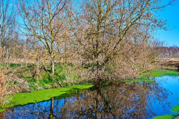 Näkymä pieni puro ihana heijastuksia veden ympäröivässä Berliinissä, Saksassa. - Valokuva, kuva