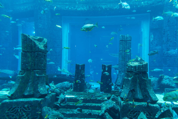 DUBAI, UAE - APRIL 5, 2020:  Lost chambers - Large aquarium in Hotel Atlantis in Dubai, United Arab Emirates - Фото, изображение