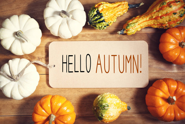 Hello autumn message with collection of pumpkins - Photo, Image