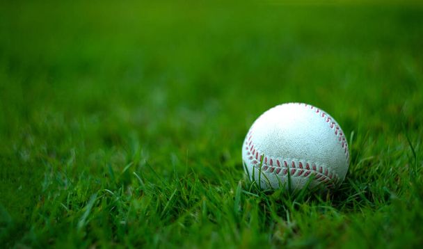 緑の芝生の上の白い野球ボール - 写真・画像