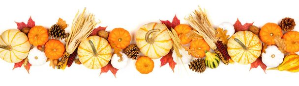 Autumn border of assorted pumpkins, gourds, leaves and corn. Top view isolated on a white background. - Photo, Image