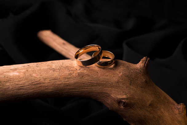 Gold wedding rings on a wooden branch. Preparation for the wedding. Wedding attributes. - Fotografie, Obrázek