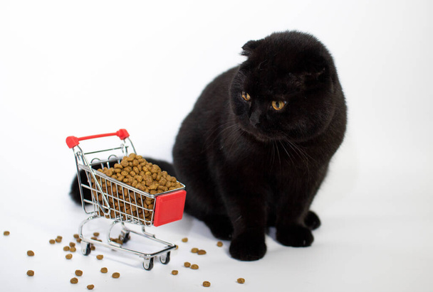 Μια μαύρη γάτα με κίτρινα μάτια κάθεται με ένα καλάθι αγορών γεμάτο με γατοτροφή. - Φωτογραφία, εικόνα