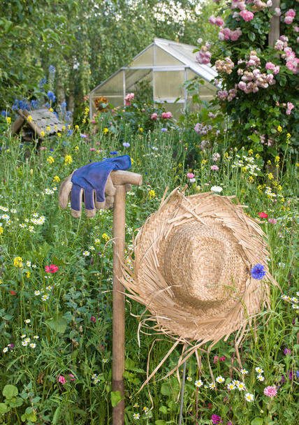 Gardeners gloves in a wild flower meadow - Photo, Image