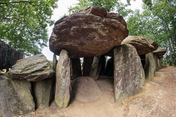 Dolmen La Roche-aux-Fees lub The Fairies 'Rock to neolityczny grób przejściowy - dolmen - położony w gminie Esse, we francuskim departamencie Ille-et-Vilaine w Bretanii. - Zdjęcie, obraz