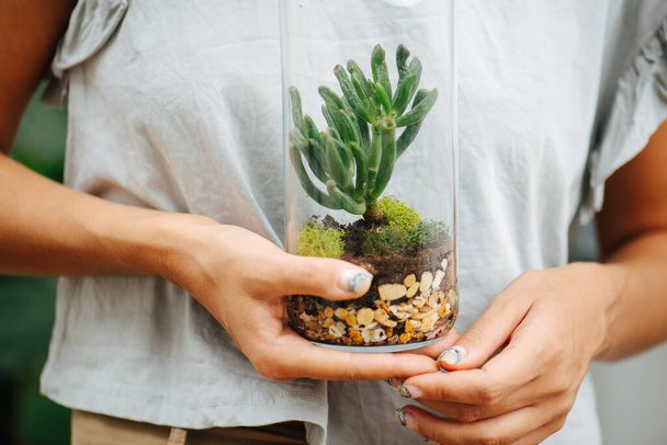 Woman holding sealed glass bottle with cute small plant inside in front of her stomach. Cropped, no head. Frontal view. - 写真・画像