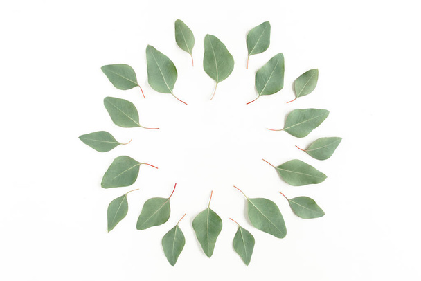 Round frame made green leaves eucalyptus populus isolated on white background. Flat lay, top view - Φωτογραφία, εικόνα