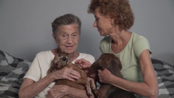 Liebe zu Tieren Thema. Behandlung seniler Krankheiten durch Kommunikation mit Hunden. Reife Tochter besucht alte Mutter im Pflegeheim während der Therapie mit Tieren. Zwei alte Frauen spielen zu Hause mit 2 Hunden - Filmmaterial, Video