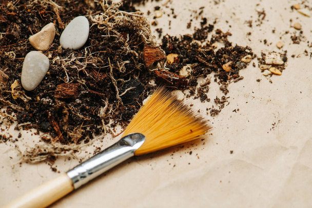 Brush, soil, roots and pebbles close up on a floor. - Φωτογραφία, εικόνα