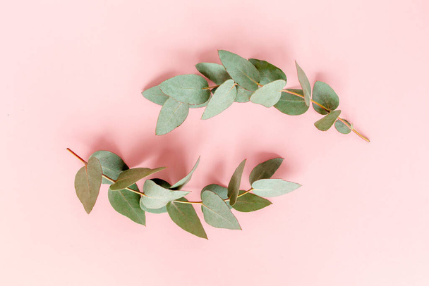 Châssis de couronnes composé de branches d'eucalyptus et de feuilles isolées sur fond rose. poser à plat, vue de dessus - Photo, image