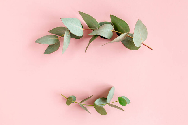 Frame borders made of eucalyptus leaves on pink background. Flat lay, top view. floral concept - Fotografie, Obrázek