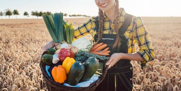 Mujer agricultora ofreciendo verduras saludables - Foto, imagen
