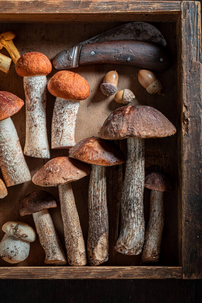 Fresh and edible mushrooms collected in the forest on wooden table - Fotografie, Obrázek