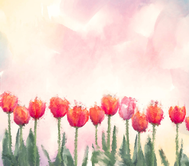 Watercolor digital painting of tulip flowers. Digital illustration. - 写真・画像