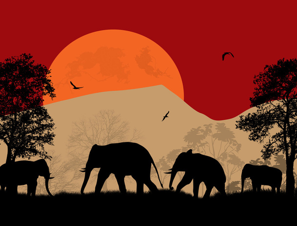 wilde olifanten bij zonsondergang - Vector, afbeelding