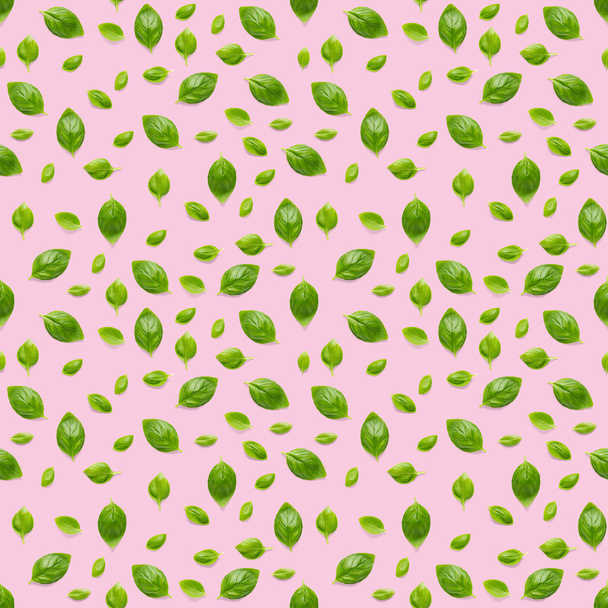 Italské bazalkové listy byliny bezešvé vzor na růžovém pozadí, Kreativní bezešvé vzor z čerstvě zelené bazalky ploché ležel rozložení. Potraviny složka bezešvé vzor. - Fotografie, Obrázek