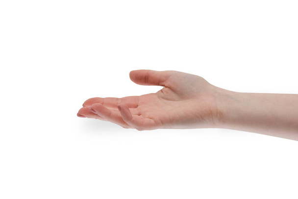 Geben Sie die Hand. Die Hand der Frau ist offen und gibt oder nimmt etwas. Menschliche Handzeichen isoliert auf weißem Hintergrund. Offene Hand, Vertrauen und Freundschaft. Sanfte Hand für Kooperation oder Hilfestellung - Foto, Bild