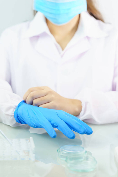 Bliżej Naukowcy wkładają rękawice z nitrylowym niebieskim lateksem w płaszczu z nitrylowymi rękawiczkami, robiąc eksperymenty w laboratorium. - Zdjęcie, obraz