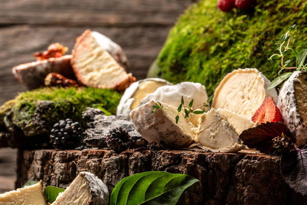 Синій сир М'який французький сир камамбер, фермер домашнього сиру, Поняття про натуральну екологічну їжу, харчування, банер, меню, рецепт
. - Фото, зображення