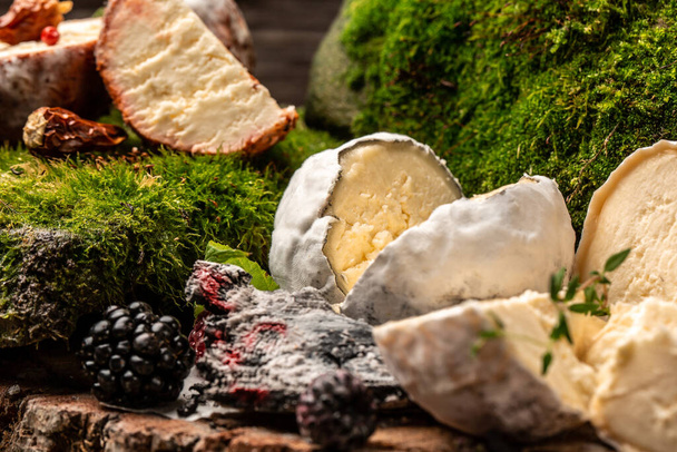 Fromage de chèvre français recouvert de cendres, assortiment de fromage de chèvre mûr, Contexte de la recette alimentaire. - Photo, image