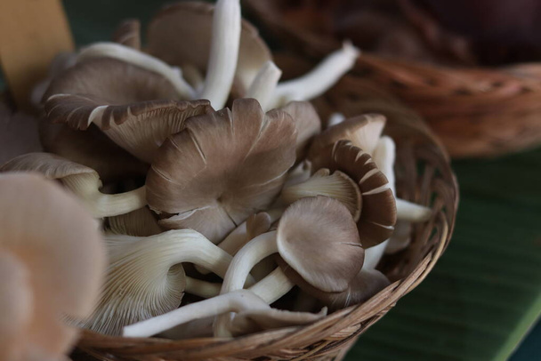 há muitos cogumelos na cesta na mesa - Foto, Imagem