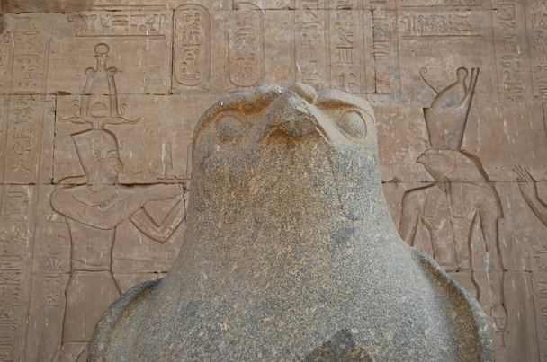 Antiga estátua egípcia do deus falcão Hórus no Templo de Edfu. Egipto - Foto, Imagem