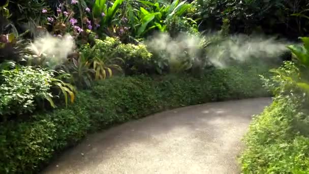 Gocce d'acqua spruzzate come vapore sul sentiero circondato da alberi - Filmati, video