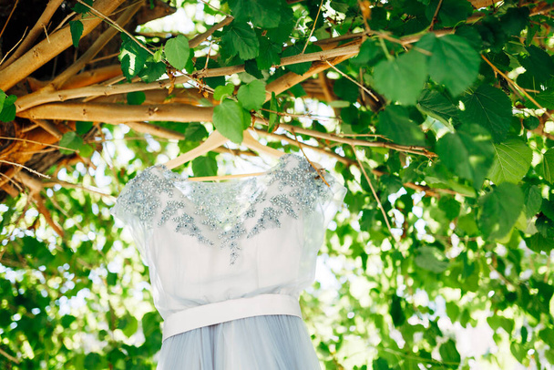 日中は葉を持つ木の枝に木製のハンガーに花嫁の青いドレス. - 写真・画像