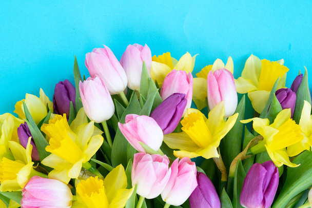 tulips and daffodils flowers - Фото, изображение