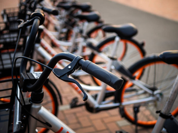 Wypożyczalnia rowerów na głównej ulicy miasta. System wspólnego korzystania z rowerów. - Zdjęcie, obraz