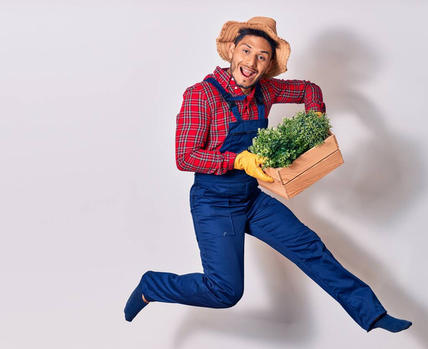 Young handsome latin man wearing farmer uniform and hat smiling happy. Jumping with smile on face plant wooden pot over isolated white background - Photo, Image