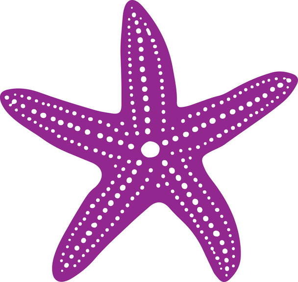 zee ster pictogram geïsoleerd op de achtergrond - Vector, afbeelding