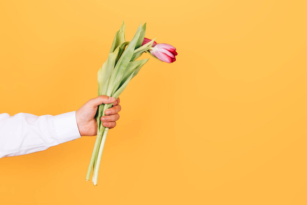 mano dell'uomo allungando un mazzo di tulipani gialli su sfondo blu con spazio copia - Foto, immagini