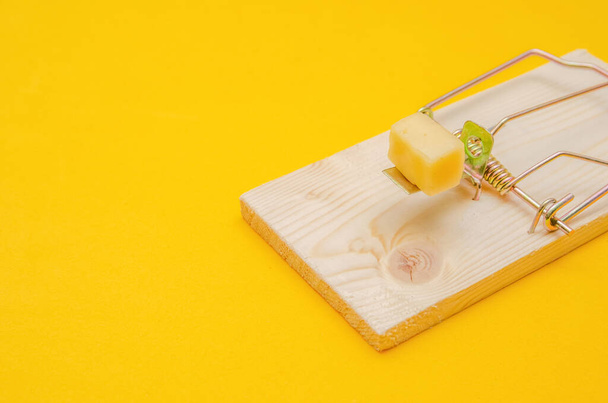 Mousetrap with cheese on a yellow background close-up - Photo, Image