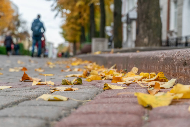 人々は、通りの秋の都市の日を歩く背景にぼやけている。手前の黄色の葉が近くに - 写真・画像