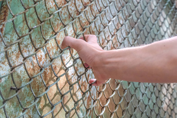 La mano dell'uomo sulla recinzione mostra quanto vuole passare dall'altra parte. Concetto di libertà - Foto, immagini